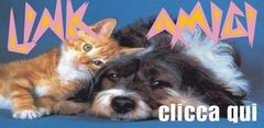 link amici logo.jpg